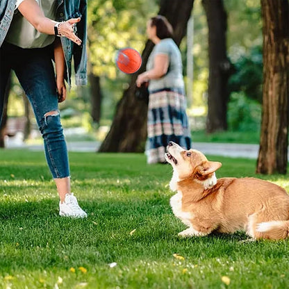 USB Rechargeable Smart Jumping Ball for dogs, being held by a person in a blue denim jacket, with a brown and white dog eagerly waiting to play.