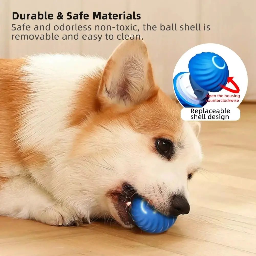 Blue USB Rechargeable Smart Jumping Ball for Dogs on wooden floor with a brown and white dog looking at it