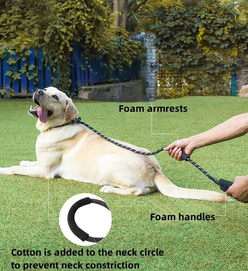 Heavy Duty Reflective Durable Slip Lead Pet Training Loop Leash