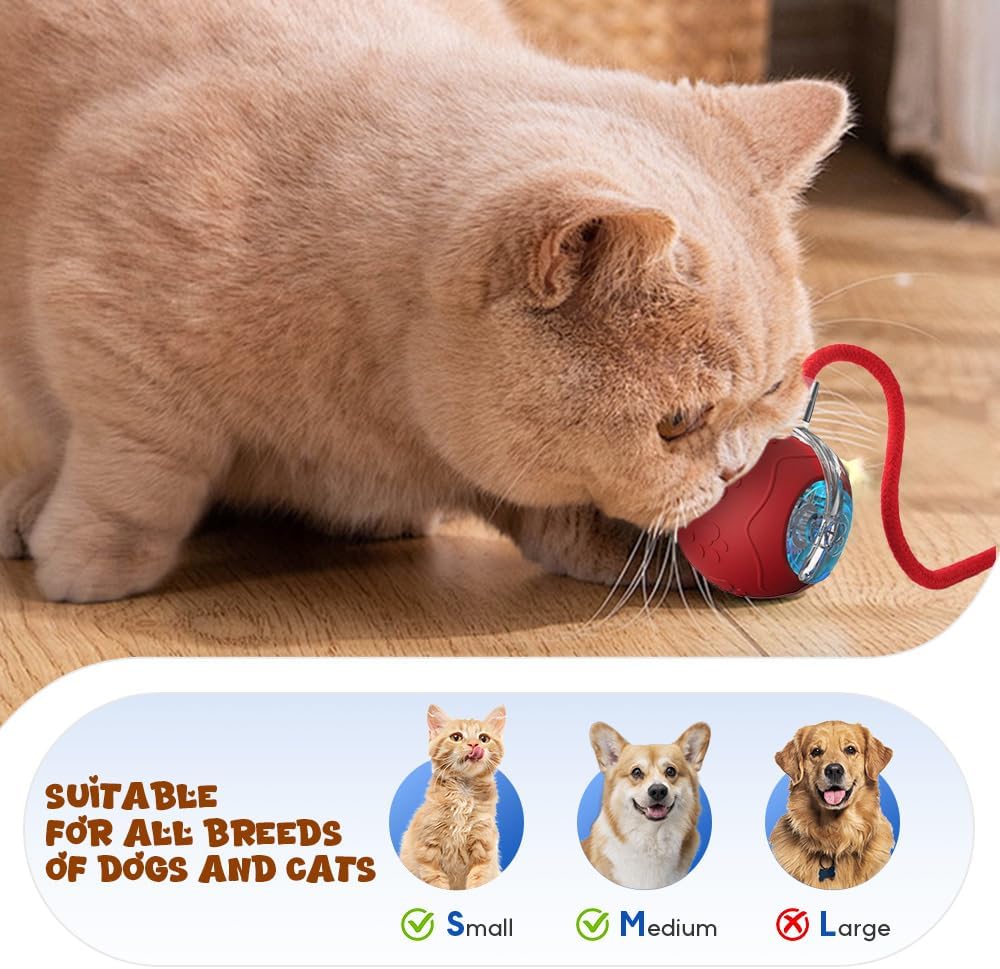 Interactive Cat Toys Ball Automatic Rolling Ball with Tail USB Rechargeable