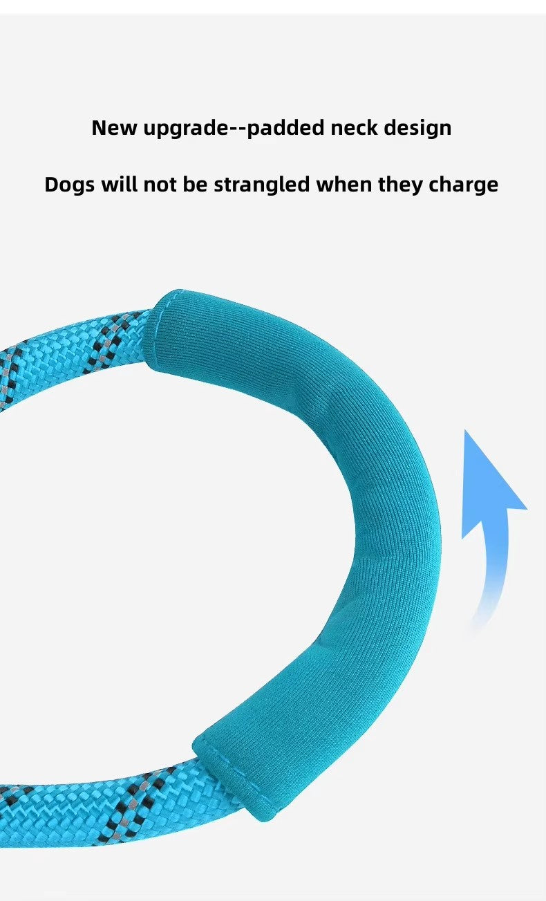 Heavy Duty Reflective Durable Slip Lead Pet Training Loop Leash