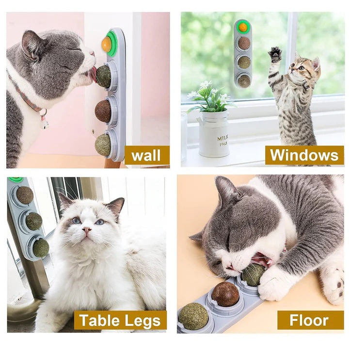 4 Pack Catnip Toys Safe Healthy Cat Wall Ball Toy