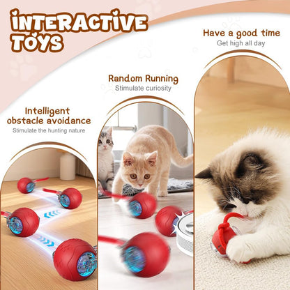 Interactive Cat Toys Ball Automatic Rolling Ball with Tail USB Rechargeable
