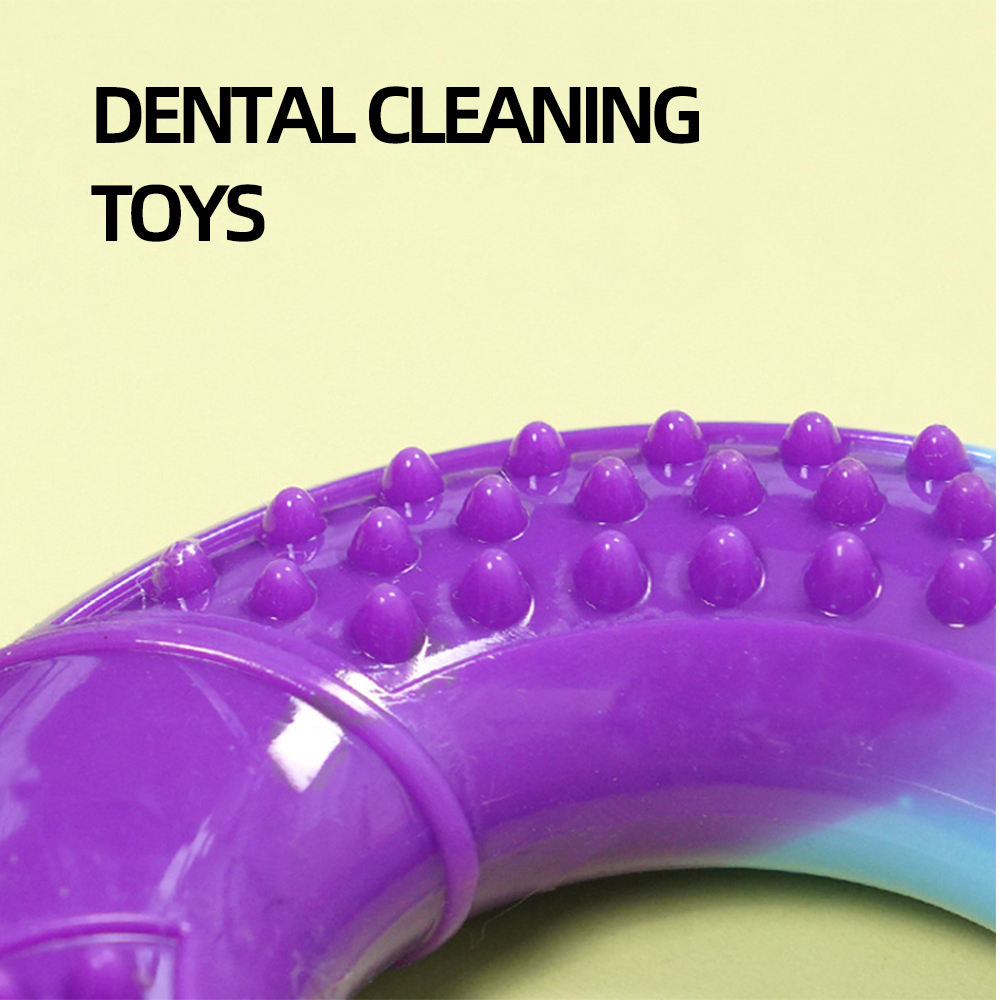TPR Feeder Colorful Teeth Cleaning Chew Toy For Pet Dog