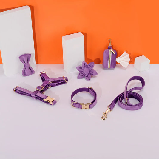 6pcs Purple Velvet Personalized Dog Collar Leash Harness Bowtie Poop Bag Set