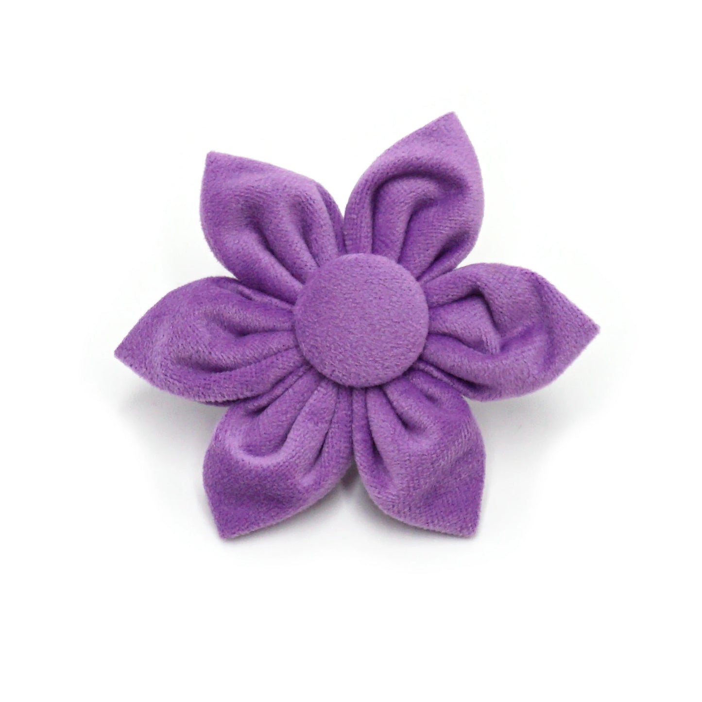 6pcs Purple Velvet Personalized Dog Collar Leash Harness Bowtie Poop Bag Set