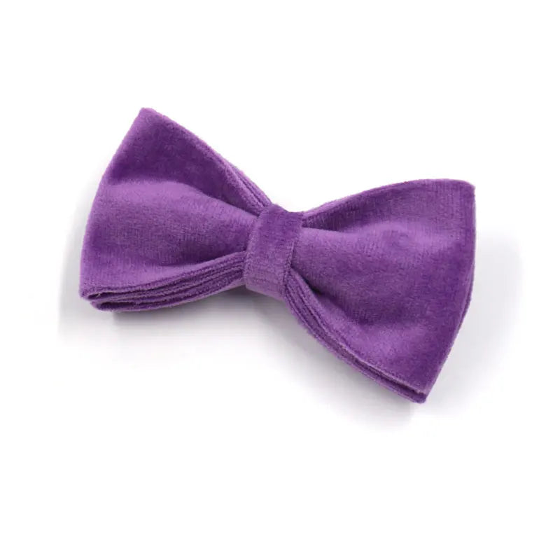 6pcs Purple Velvet Personalized Dog Collar Leash Harness Bowtie Poop Bag Set
