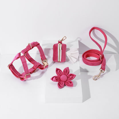 6 Pcs Pet Gifts Fashion Training Collar Customizable Dog Harness Leash Collar Set