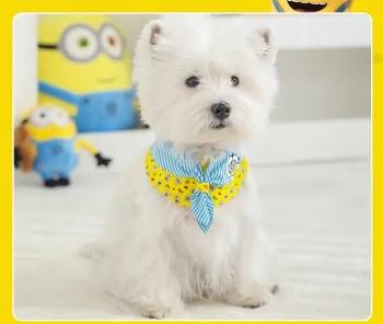 Minions series pet scarf teddy than bear Pomeranian dog collar cute saliva towel cat clothes bib