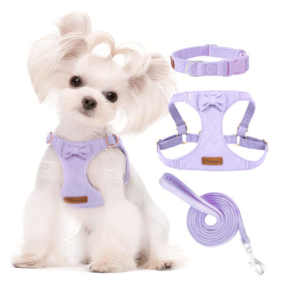 3 Pcs Vest Style Dog Outdoor  Dog Harness and Leash for Cats and Small Dogs