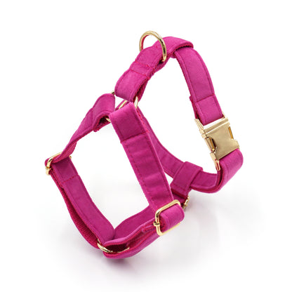 6 Pcs Pet Gifts Fashion Training Collar Customizable Dog Harness Leash Collar Set