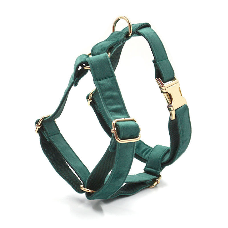 Green Stripe Velvet Personalized Dog Collar Leash Harness Bowtie Poop Bag Set