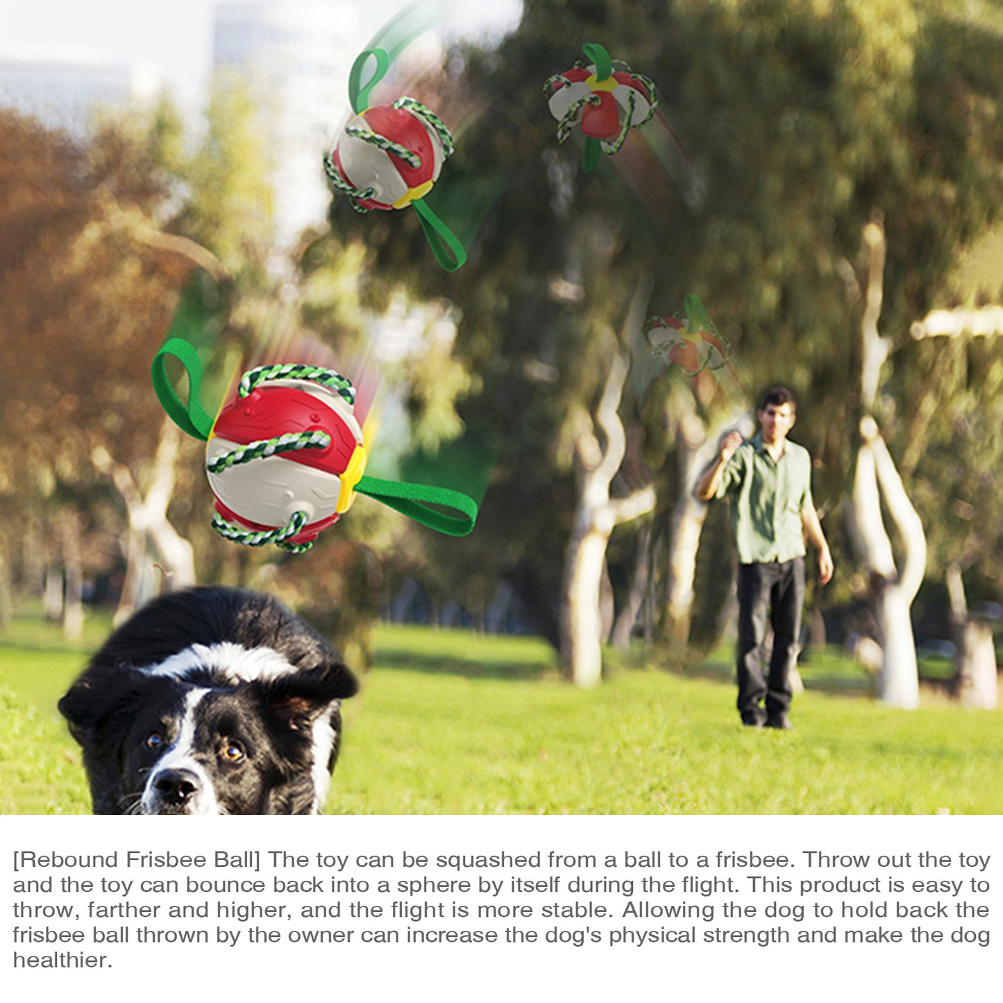 Outdoor Unfoldable Frisbee Interactive Football Training Dog Toys with Straps