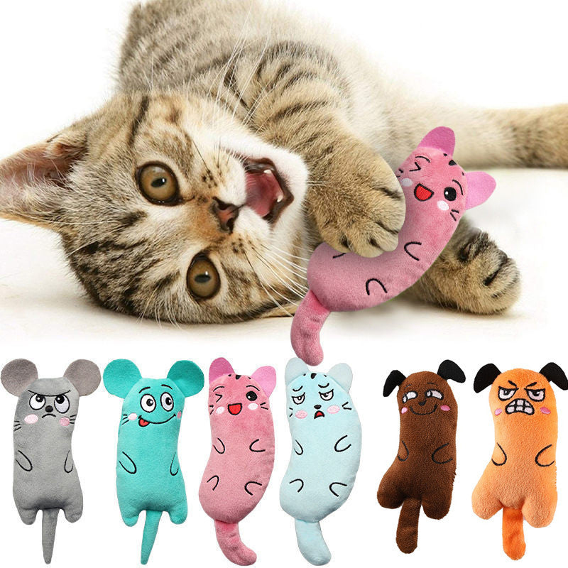 6Pcs Catnip Toy Bite Resistant Chew Toys for Cat