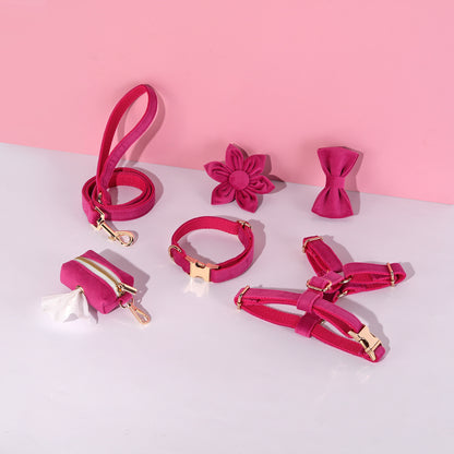 6 Pcs Pet Gifts Fashion Training Collar Customizable Dog Harness Leash Collar Set