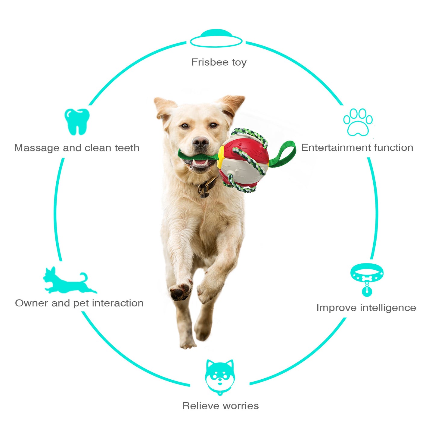 Outdoor Unfoldable Frisbee Interactive Football Training Dog Toys with Straps
