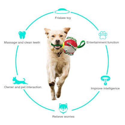 Outdoor Unfoldable Frisbee Interactive Football Training Dog Toys with Straps