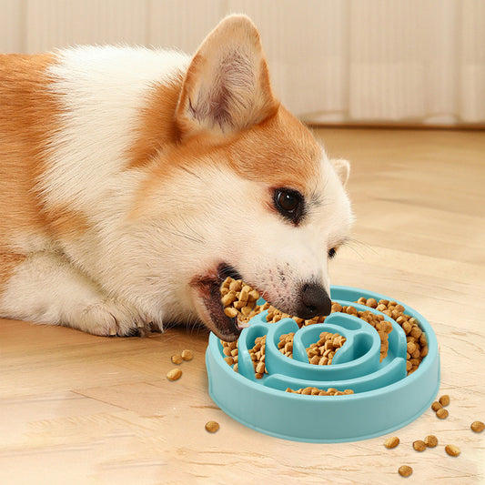 Slow Feeder Bowl Fun Non Slip Anti-Gulping Pet Bowl