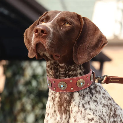 Masson Lederhalsbänder für Hunde in großer Hundekette, Französische Bulldoggenhalsbänder 