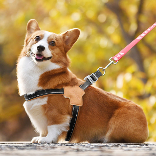 Y Shape  Reflective Strip Breathable Padded Outdoor Dog Harness