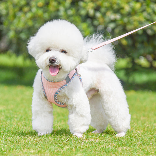 No Pull Adjustable Reflective Pet Harness and Leash Set for Cat & Small Dogs
