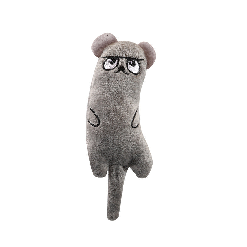 6Pcs Catnip Toy Bite Resistant Chew Toys for Cat