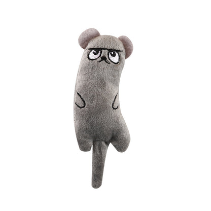 6Pcs Catnip Toy Bite Resistant Chew Toys for Cat