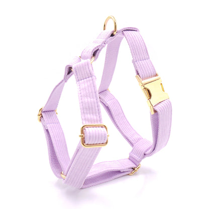 Pink Purple Stripe Velvet Personalized Dog Collar Leash Harness Bowtie Poop Bag Set