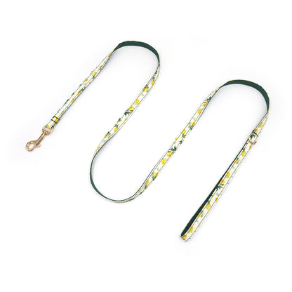 Fruits Style Adjustable Personalized Cat Collar Leash With Removable Bell & Bowtie