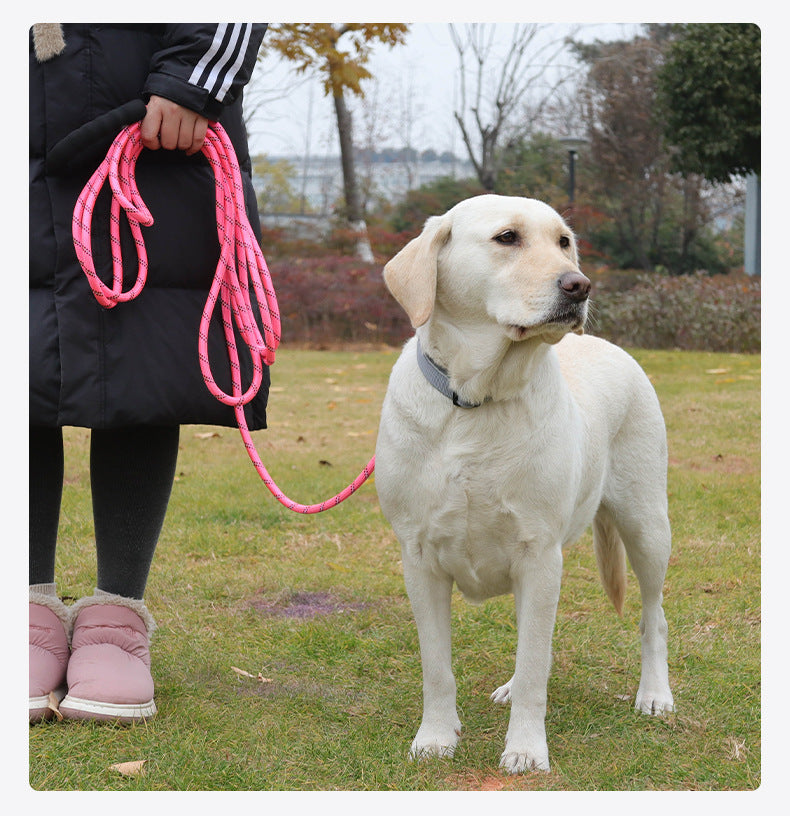 Long Dog Leash with Comfortable Padded Handle and Highly Reflective Threads