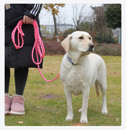 Long Dog Leash with Comfortable Padded Handle and Highly Reflective Threads