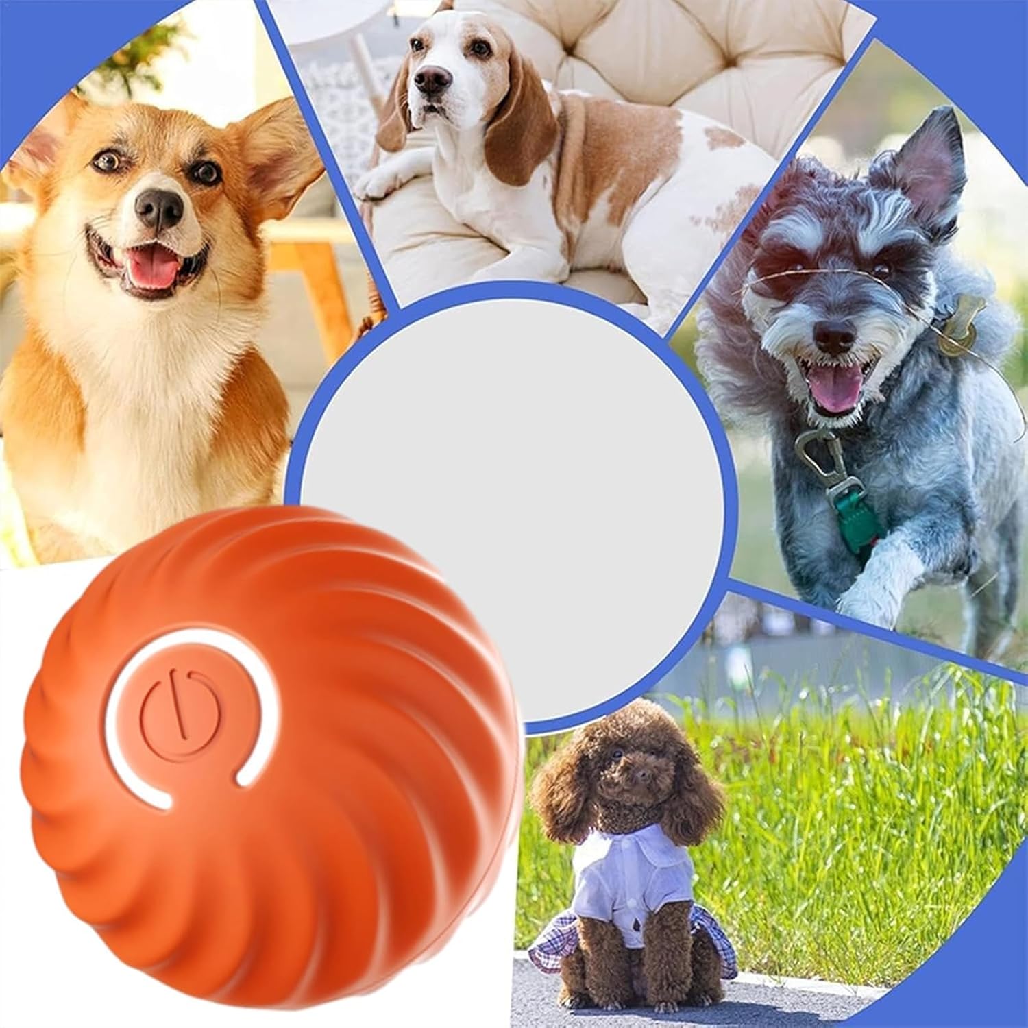 USB Rechargeable Smart Jumping Ball for Dogs in action, with multiple dogs playing with the automatic moving dog toy.
