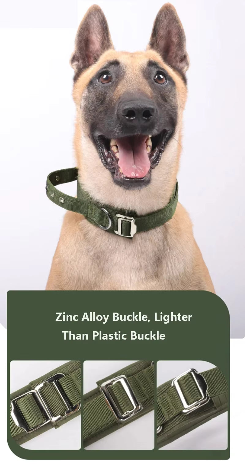 zinc ally buckle with dog collar