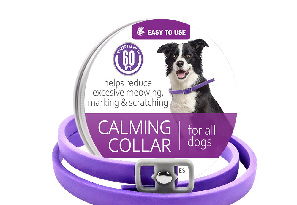 Collar calmante para mascotas, ajustable, antiestrés, con feromonas para gatos 