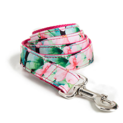 Cute Color Print Pet Leash