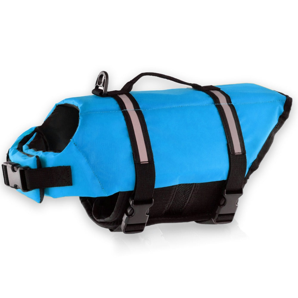 blue adjustable belt dog life jacket 