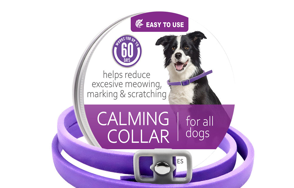Collar calmante para mascotas, ajustable, antiestrés, con feromonas para gatos 