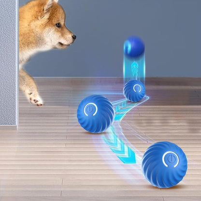 Dog engaged with a USB Rechargeable Smart Jumping Ball for Dogs, an automatic moving toy, on a wooden floor