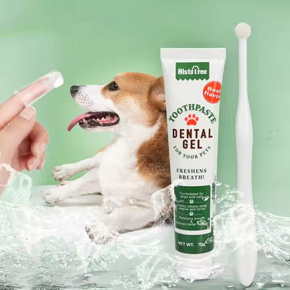4 in 1 Vanilla/Beef Flavors Cat Tooth Brush Toothpaste Pet Dental Kit Dog Toothbrush