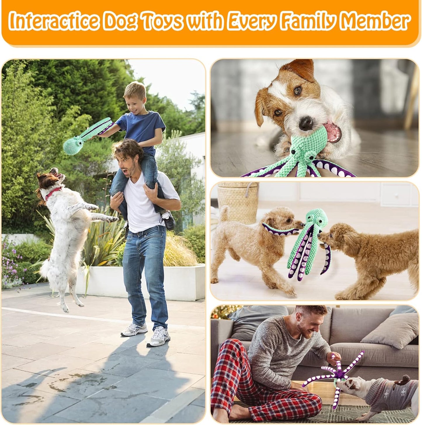 interactive dog toys with every family member