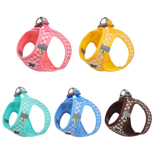 different colors with dog harness