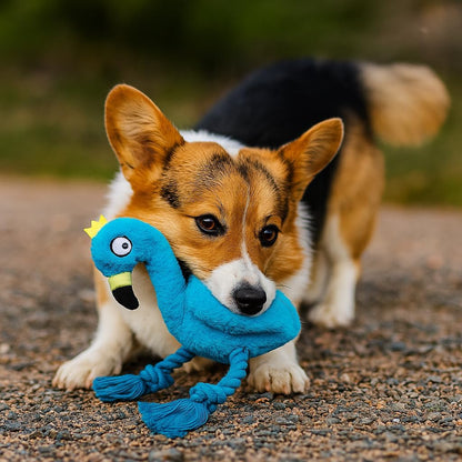 tug of war playing squeaky dog toys