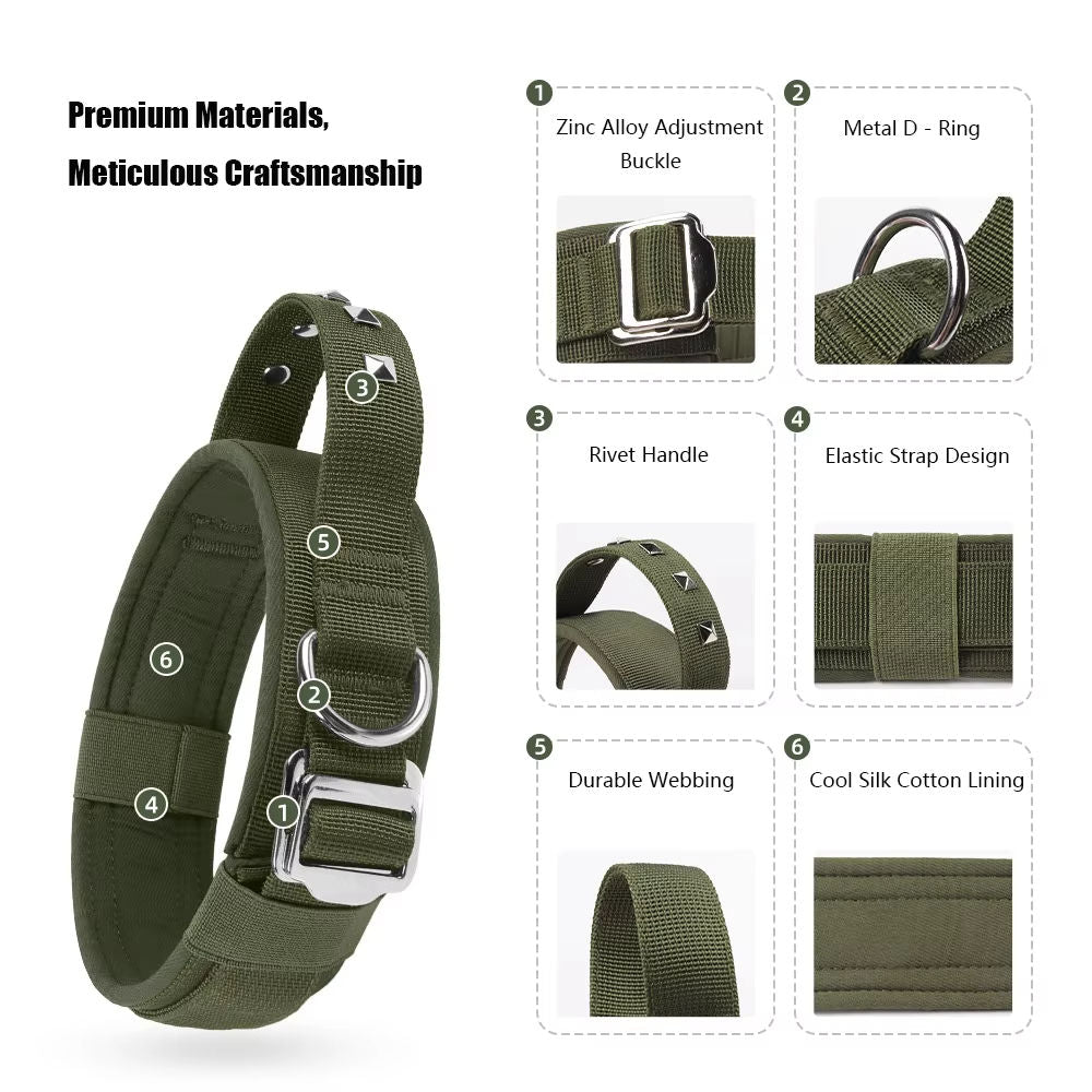 d-ring rivet dog collar