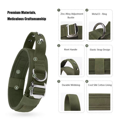 d-ring rivet dog collar