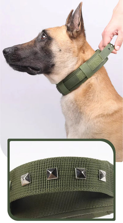 strong handle rivet dog collar