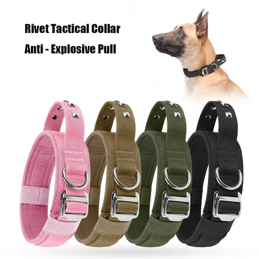 anti explosive pull dog collar