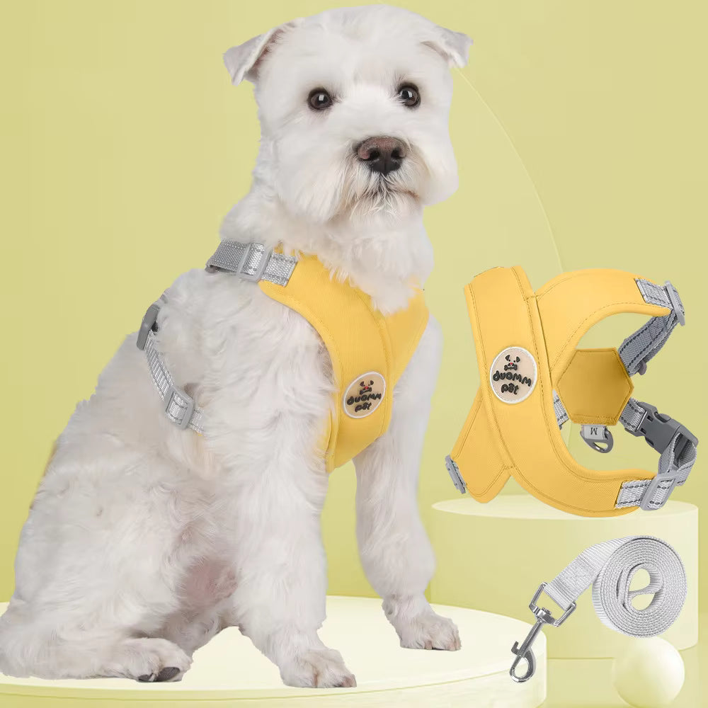 yellow dog harness and leash