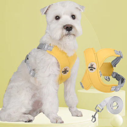 yellow dog harness and leash